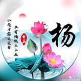 用户6067177272521头像