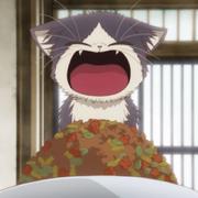 HXhlx的个人资料头像