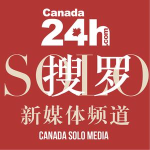 搜罗SOLO头像