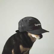 NMSN的个人资料头像