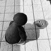 举个栗子292的个人资料头像