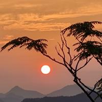 灵敏青山aPO头像