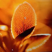 用户2394073547488头像