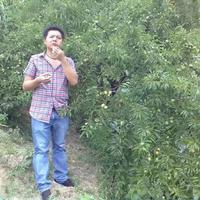 虾子羊肉粉羊肉火锅头像