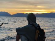 溪风离的个人资料头像