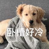 吃陈皮的北冰洋头像