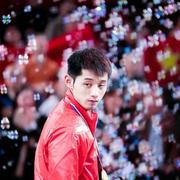 Ared的个人资料头像