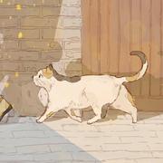 心安422的个人资料头像