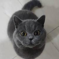 耐人寻味842头像