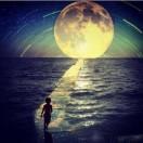 南诃的个人资料头像