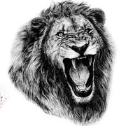 许留心的个人资料头像