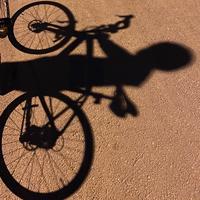 尊嘟假嘟呀头像