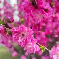 武功不是盖的头像