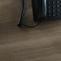 运筹帷幄小猫N头像