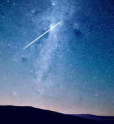 盐渍南极星的个人资料头像