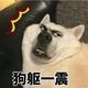 红豆rb头像