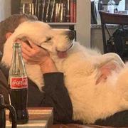 莫子莫的个人资料头像