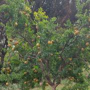 用户09007003493的个人资料头像