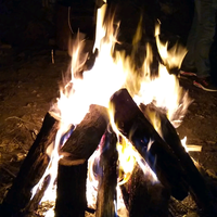 高冷溪流9T0头像