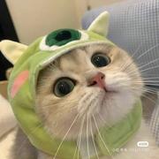 teukkk的个人资料头像