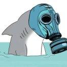 幻世的个人资料头像