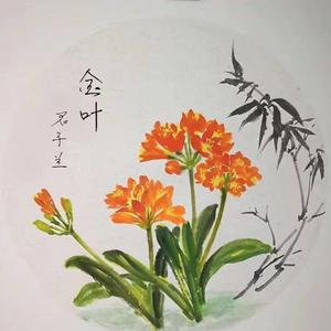 辽宁金叶君子兰头像