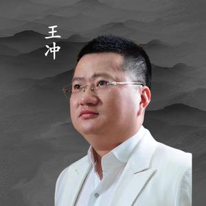王冫中新商业论头像