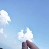 四毛头像