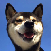 ZooMze的个人资料头像