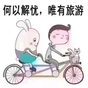 灯哥在龙湖头像