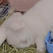 橙住气的个人资料头像