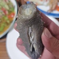 日照任家台日海渔家头像