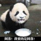 kean酱的个人资料头像