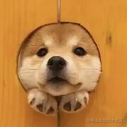 禅是禅非的个人资料头像