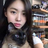 正在努力买奔驰的车主头像