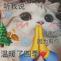 比买车小白还小白头像