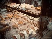 阿Kang的个人资料头像