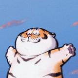 社会顶瘤鲨头像