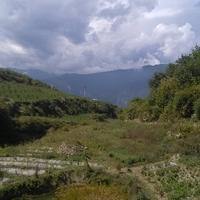 阳哥的大哥头像