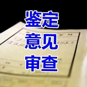 鉴定意见审查头像