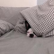 vortex的个人资料头像