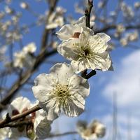 用户3838408343546头像