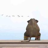 迷失之境123头像