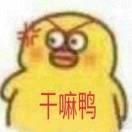 认真的安静的个人资料头像