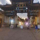 第二世蜂683头像
