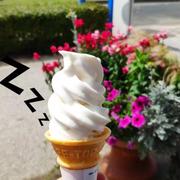 icedream的个人资料头像