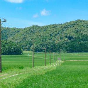 那日一别1头像