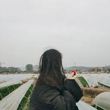东子2503头像