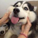 再也不想写代码了的个人资料头像