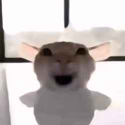 小獙宰治头像